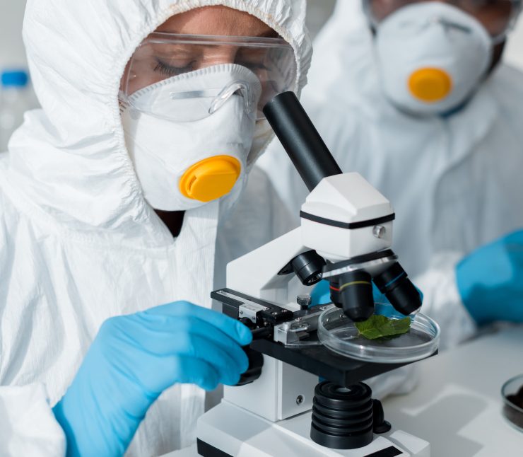 stock_image_19_optim